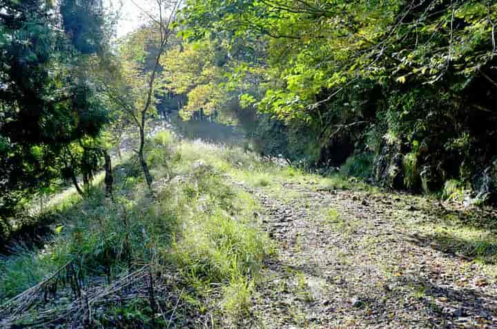 �O��̑�ւ̗ѓ�